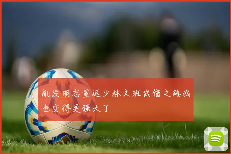 削发明志重返少林文班武僧之路我也变得更强大了