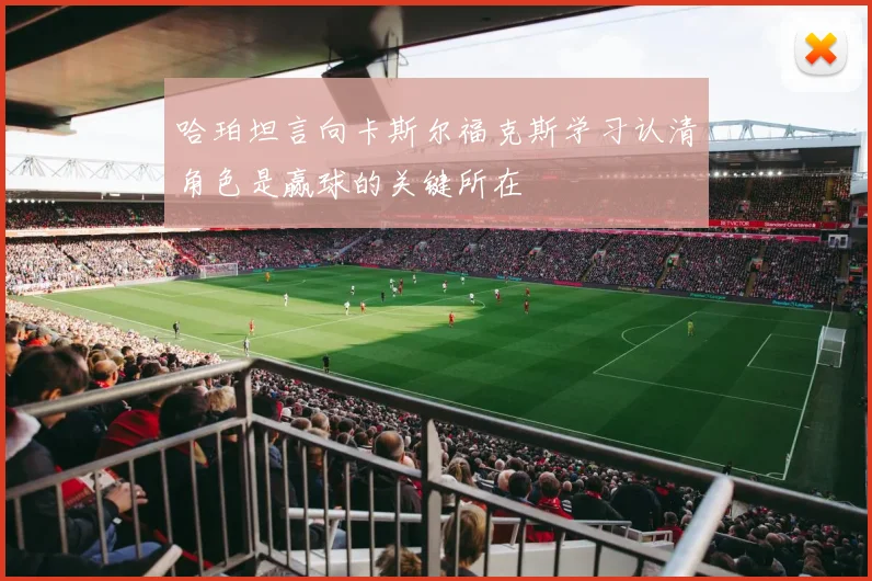 哈珀坦言向卡斯尔福克斯学习认清角色是赢球的关键所在