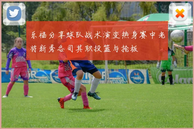 乐福分享球队战术演变热身赛中老将新秀各司其职投篮与抢板
